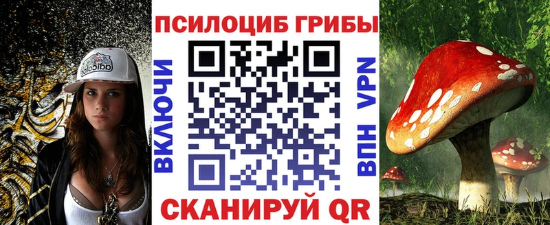 Псилоцибиновые грибы MAGIC MUSHROOMS  блэк спрут онион  Чапаевск 